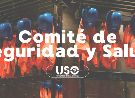 ¿Qué es el Comité de Seguridad y Salud?