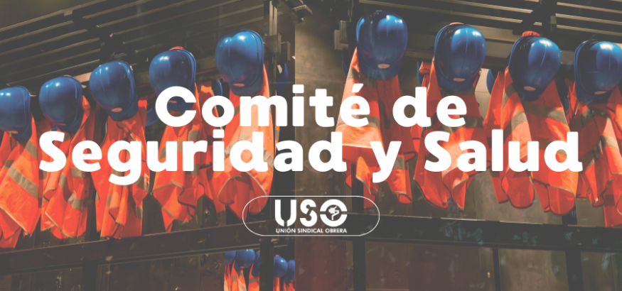 ¿Qué es el Comité de Seguridad y Salud?