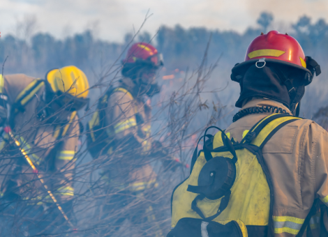 Bomberos forestales: la primera línea contra el fuego que el Estado sigue sin proteger