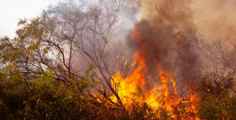 USO reclama prevención y coordinación ante los incendios