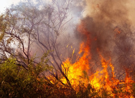 USO reclama prevención y coordinación ante los incendios