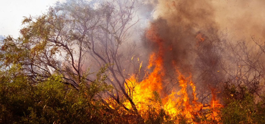 USO reclama prevención y coordinación ante los incendios