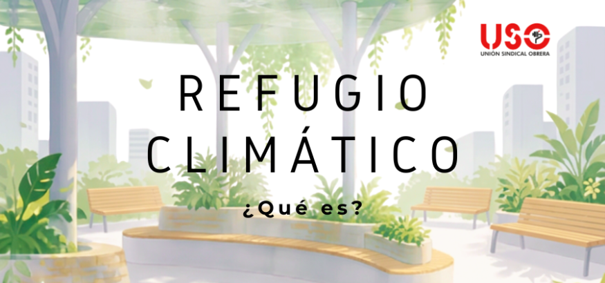 Refugios climáticos: más que una moda, una necesidad Refugios climáticos: más que una moda, una necesidad